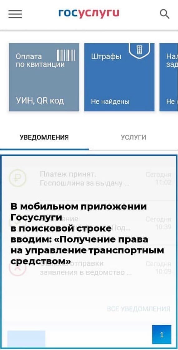 Как оплатить госпошлину за выдачу водительского удостоверения